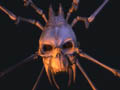 VooDoo Extreme