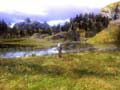 Geralt a természet szépségeit csodálja